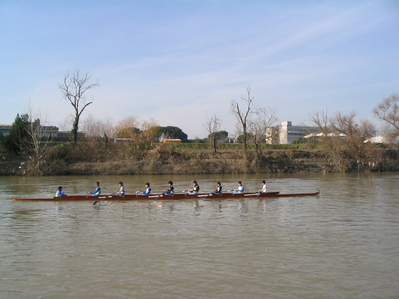 IMG_7466.jpg