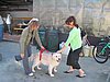 IMG_8559.jpg