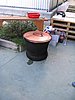 IMG_8564.jpg