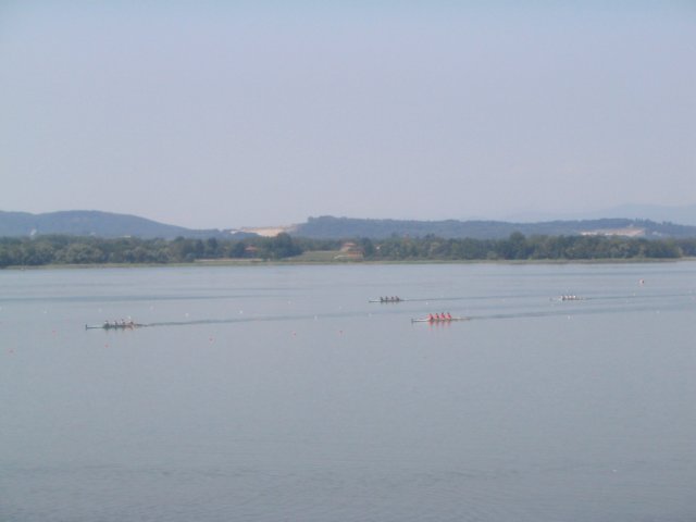 img_8216.jpg