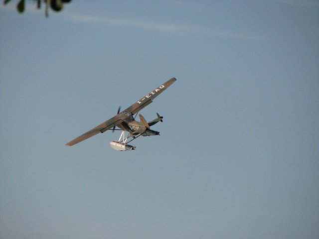 IMG_3149.jpg