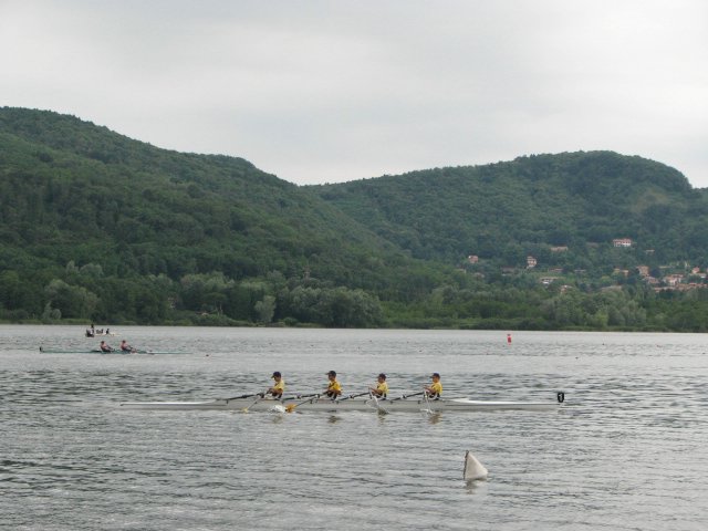 IMG_3226.jpg