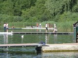 IMG_3126.jpg