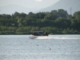 IMG_3146.jpg