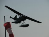 IMG_3148.jpg