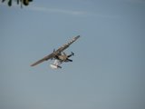 IMG_3149.jpg