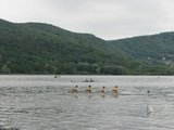 IMG_3225.jpg