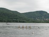 IMG_3226.jpg