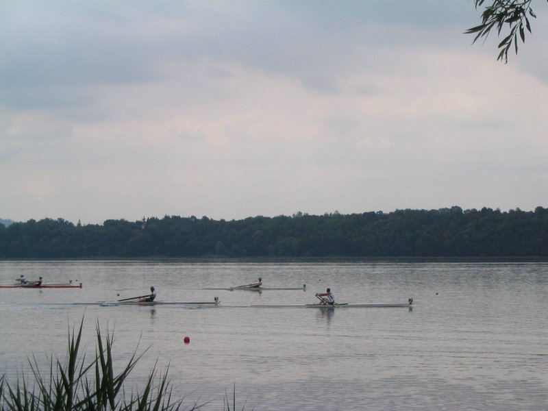 IMG_6108.jpg