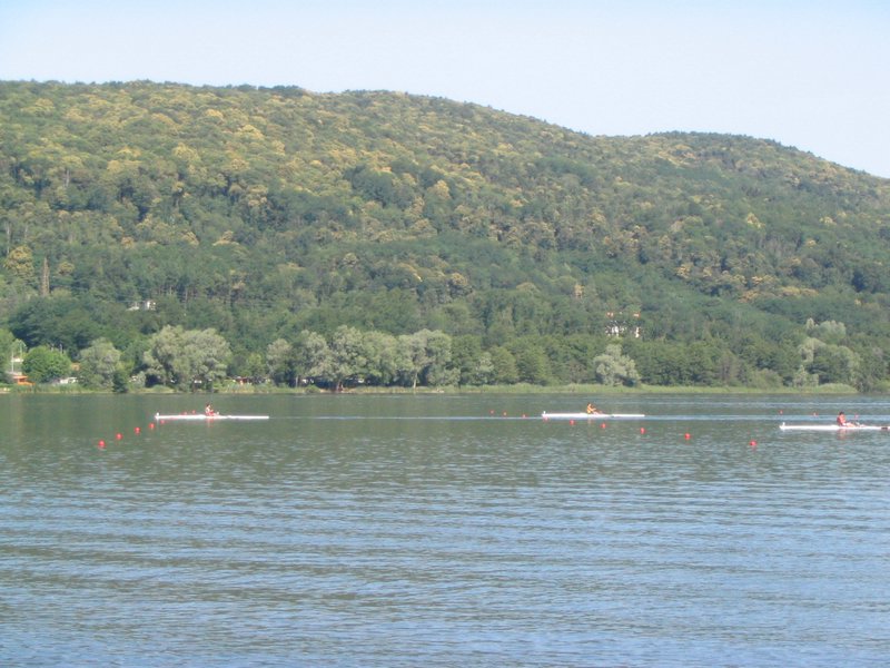 IMG_6170.jpg
