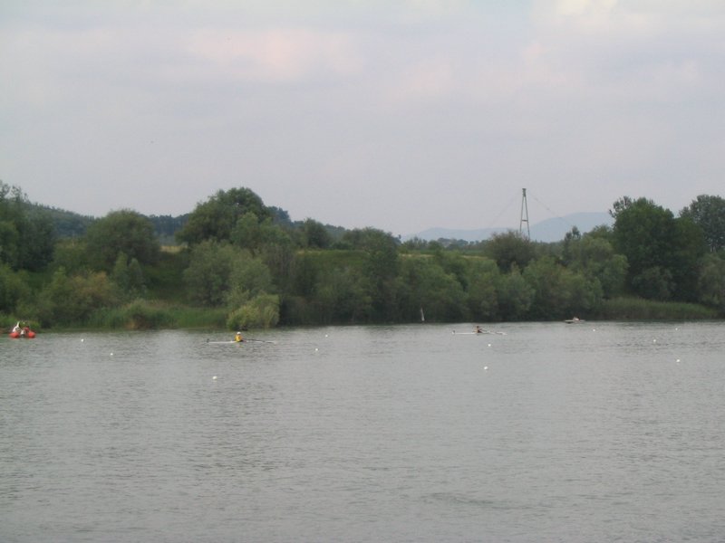IMG_6023.jpg