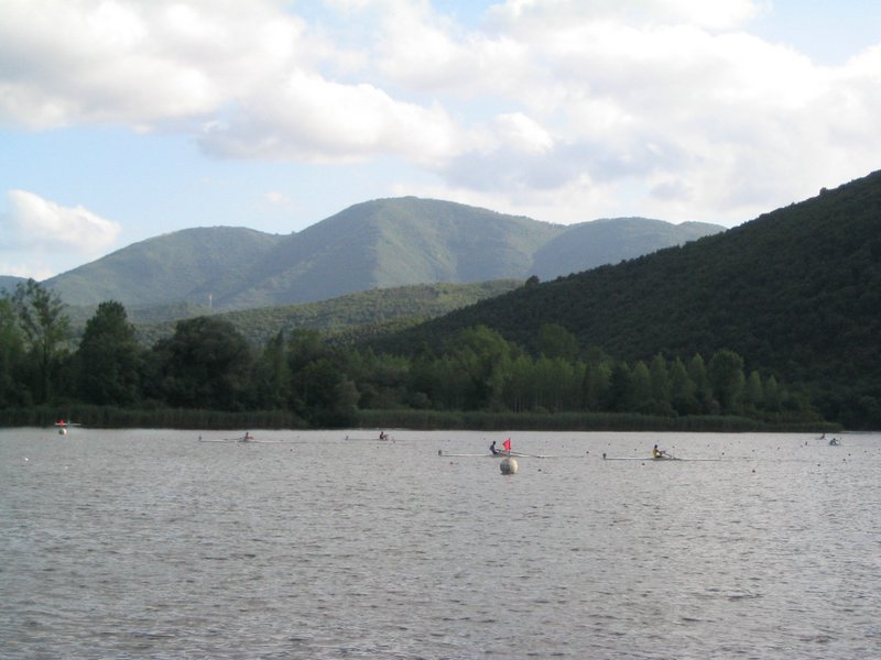 IMG_6295.jpg