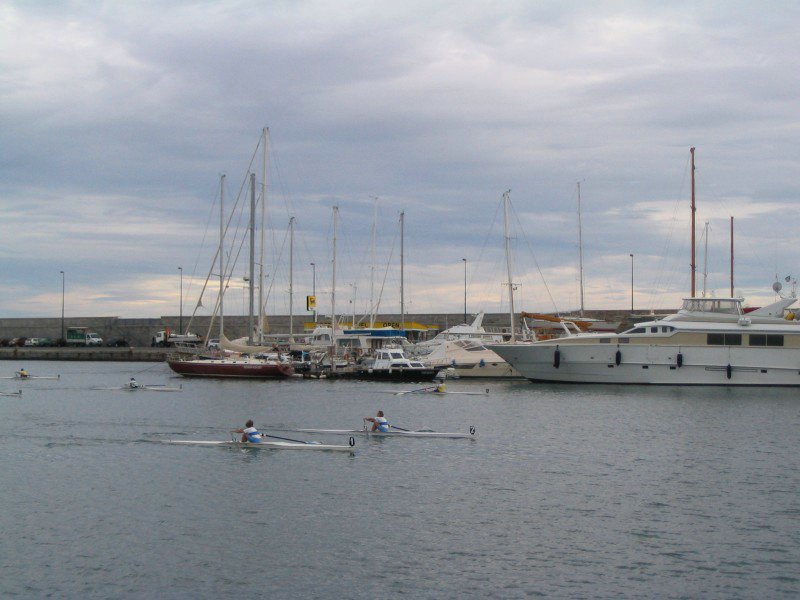 IMG_6959.jpg